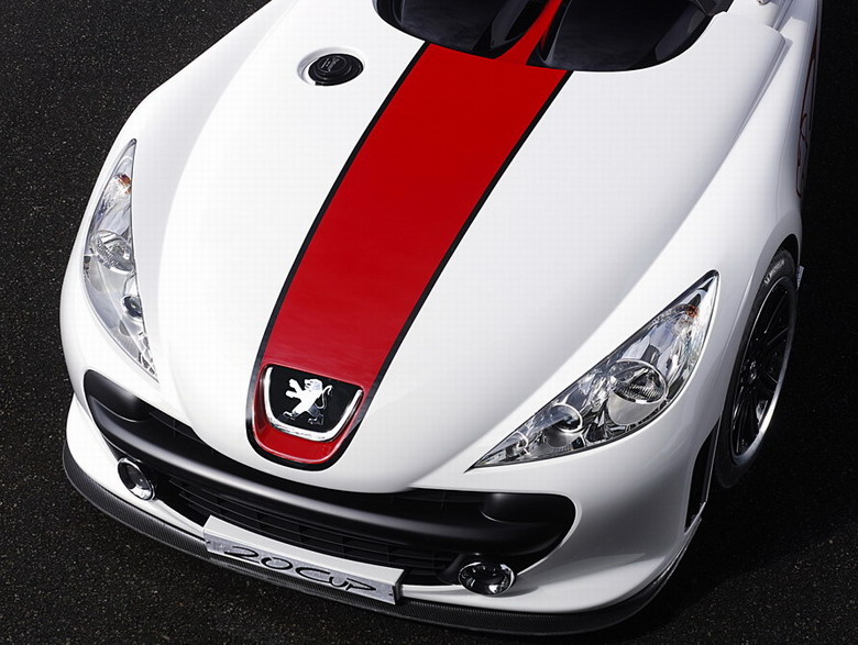 Concept car Peugeot 20Cup: Vue agrandie de la calandre et du capot du concept-car Peugeot 20Cup.